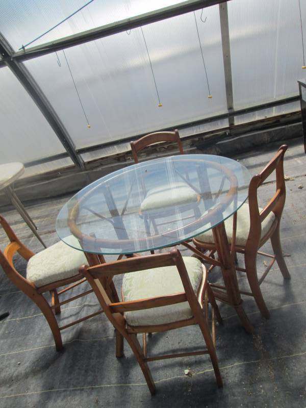 Glass Table and Chairs