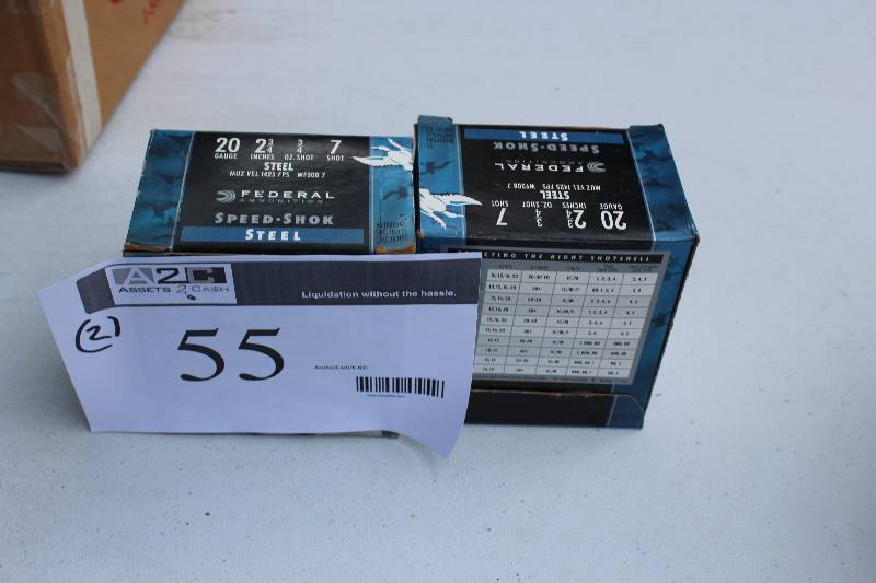 Box Lot of (2) 22-Gauge Shotgun Shells. 25 Shells Per Box
