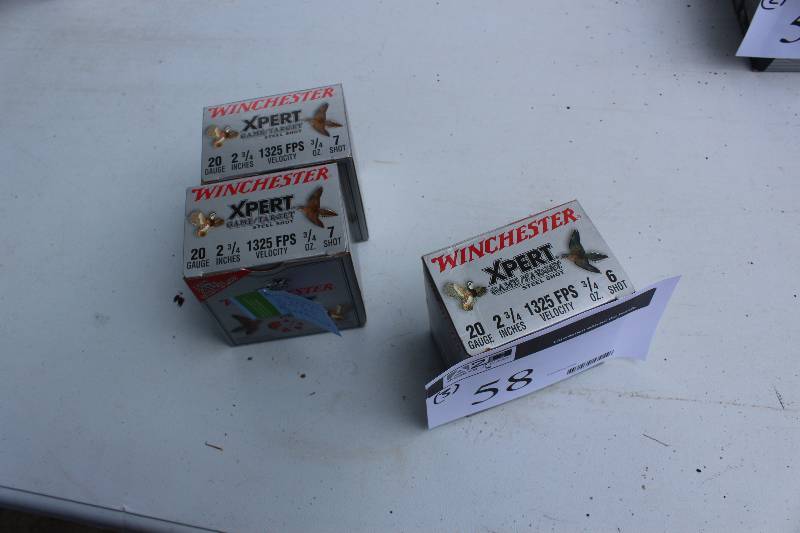 Box Lot of (3) Winchester Xpert 20Gauge Shotgun Shells.  25 Shells Per Box