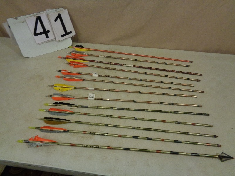 lot 41 image: 13 Assorted Arrows