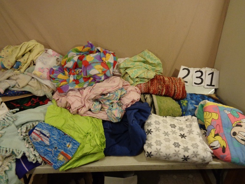 lot 231 image: Assorted Blankets and Linens