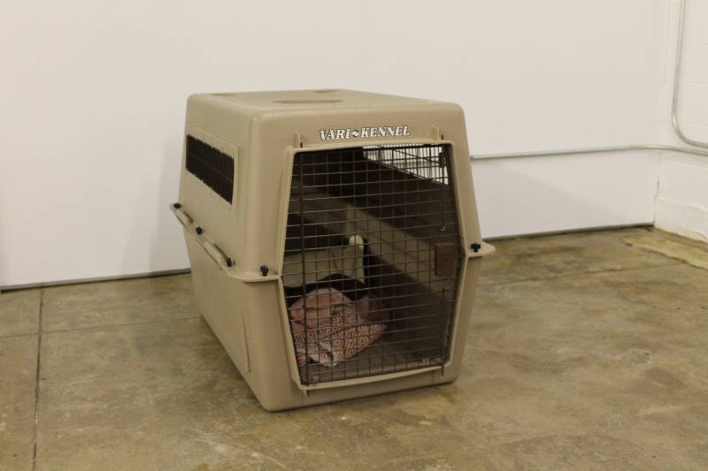 MediumLarge Vari-Kennel Dog Kennel...