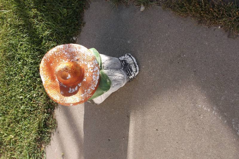Lawn Decor