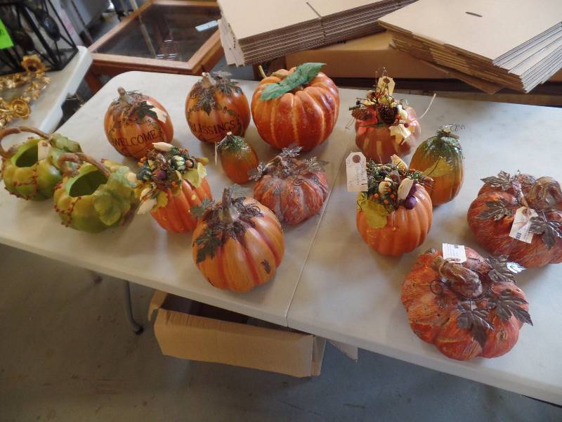 Pumpkin Patch