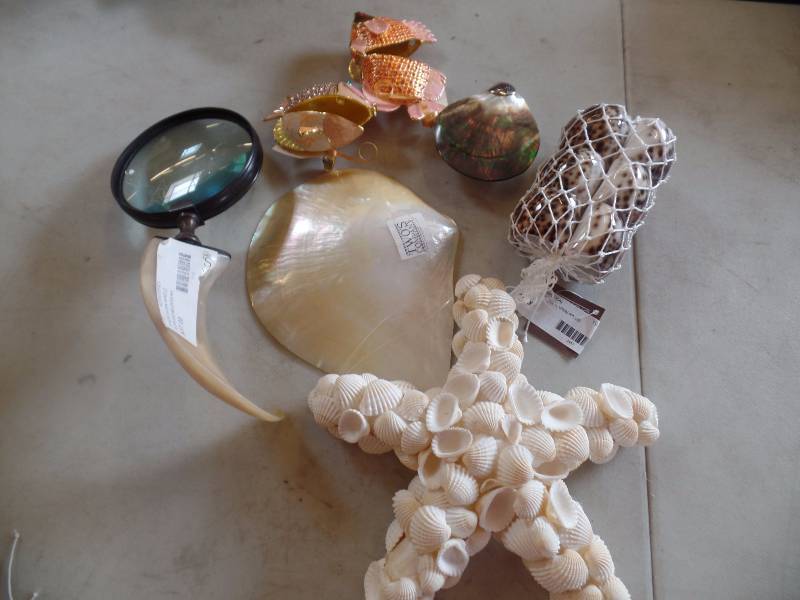 Shells and Horn