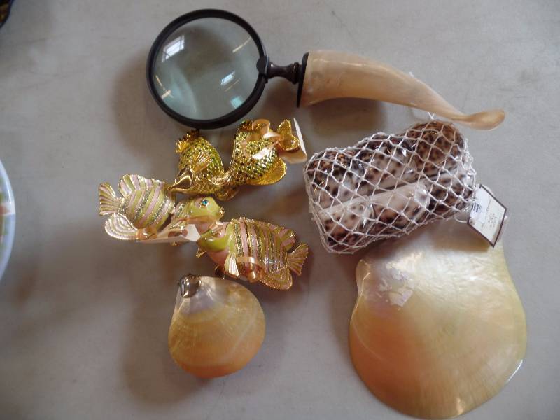 Shells and Horn
