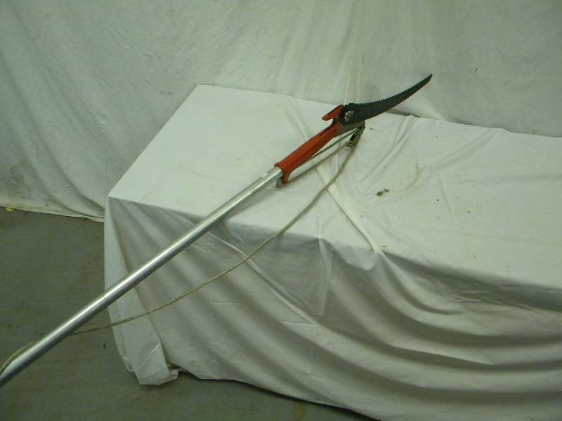 lot 121 image: Tree Saw