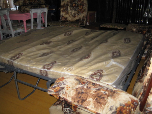 Nice Couch with Queen size Hide A bed