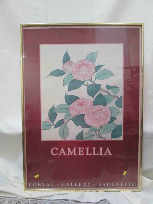 Picture of Camellia...