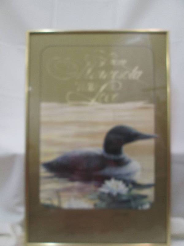 Picture of a loon It say From Minne...