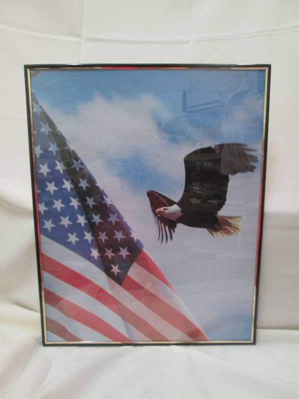 Picture of eagle and the United Sta...