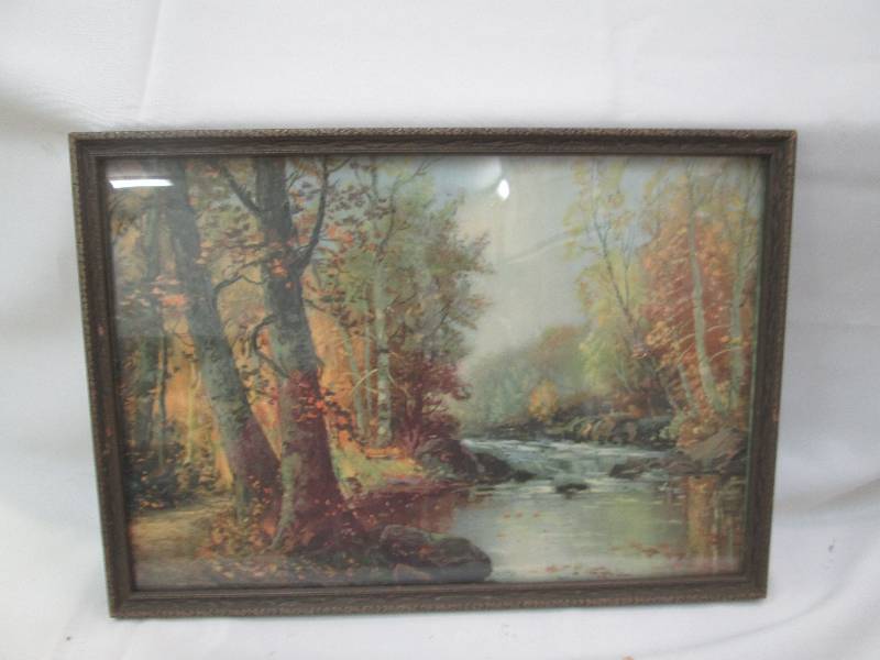 Picture of trees and river...