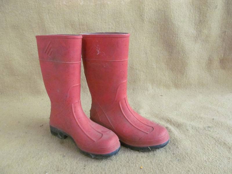 Galoshes