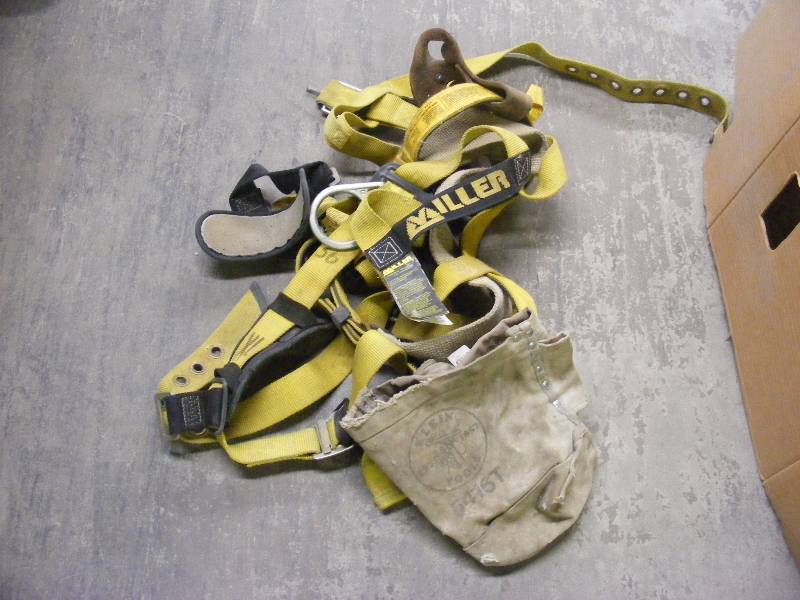 Safety Harness