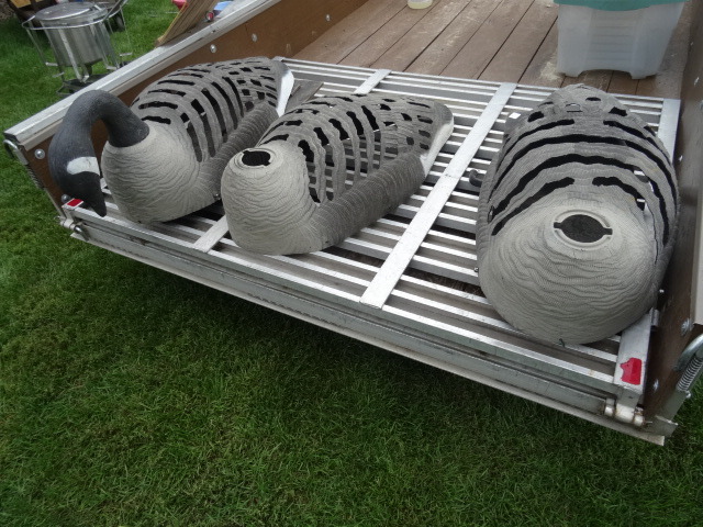 Goose Decoys
