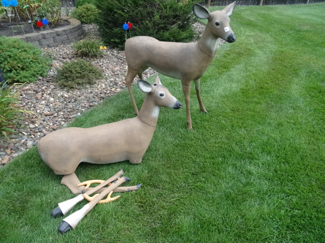 Decoys Deer