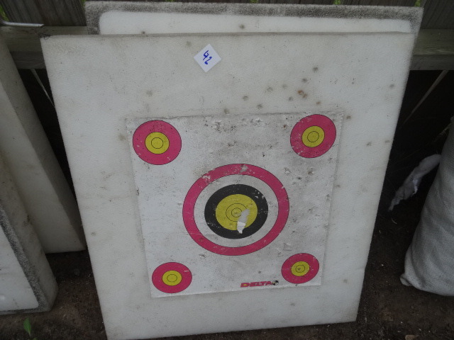 2 Foam Archery Targets