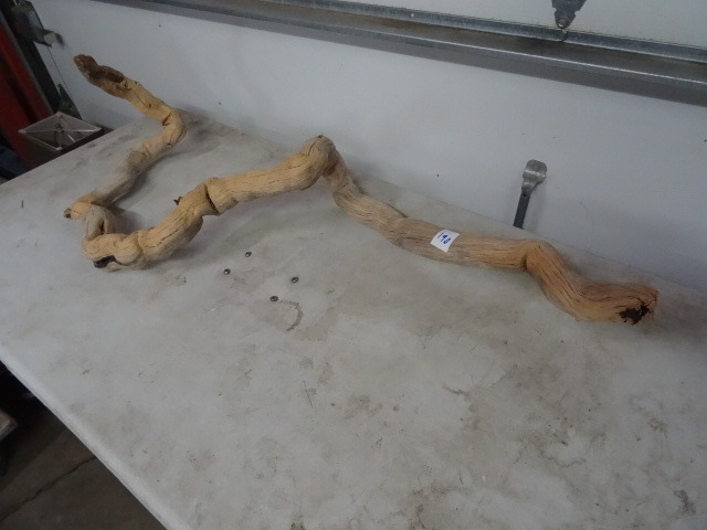 Piece of Drift Wood