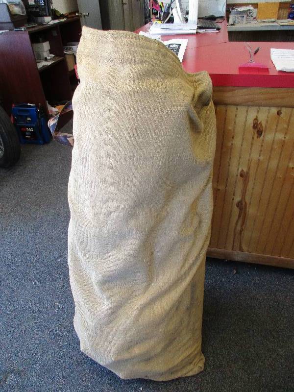 10 x 20 canopy