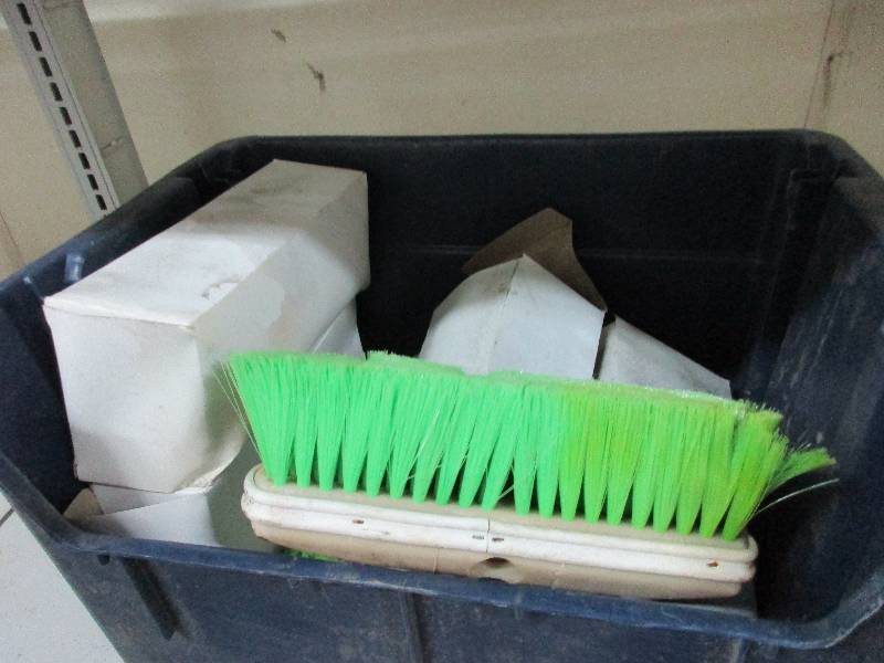 10 new brush heads