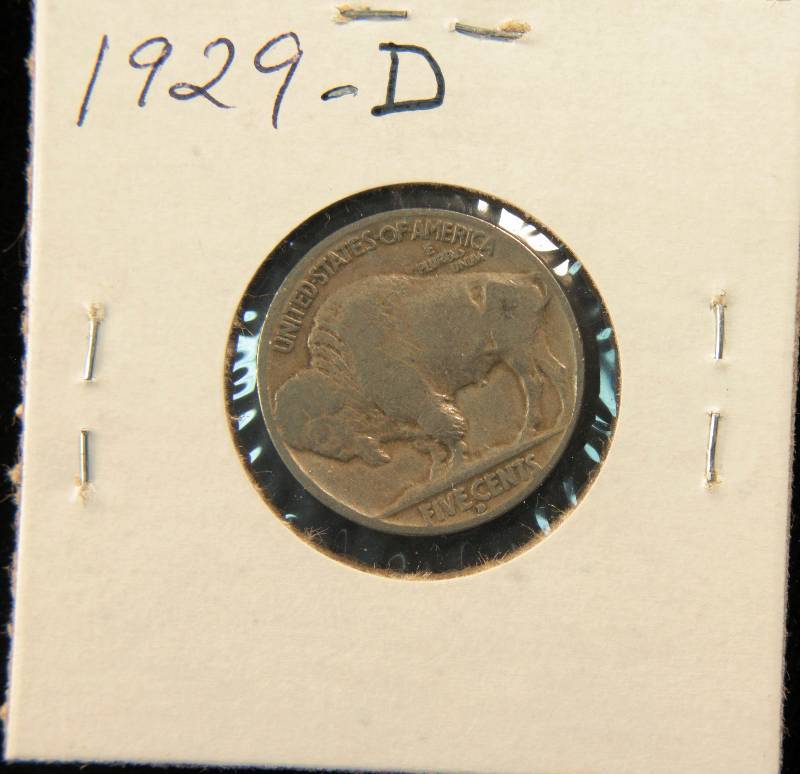 1929 D BUFFALO NICKEL FINE