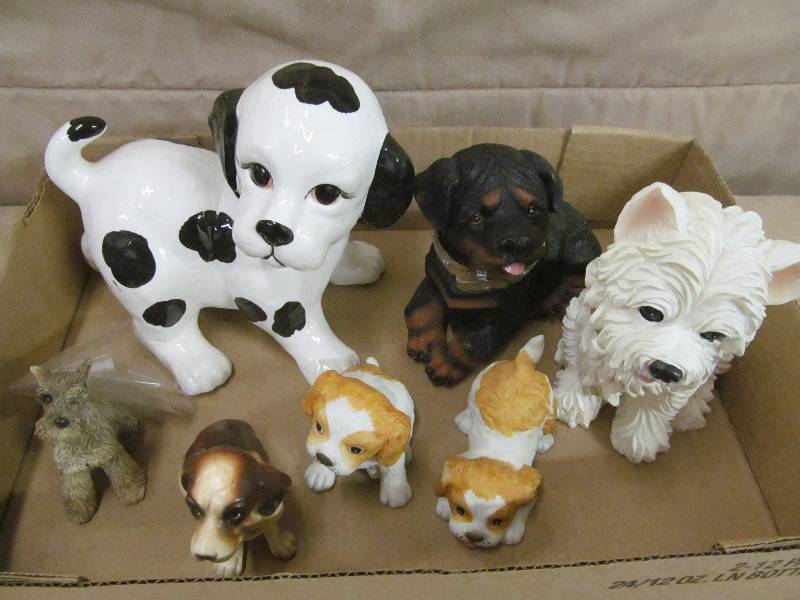 animal dcor