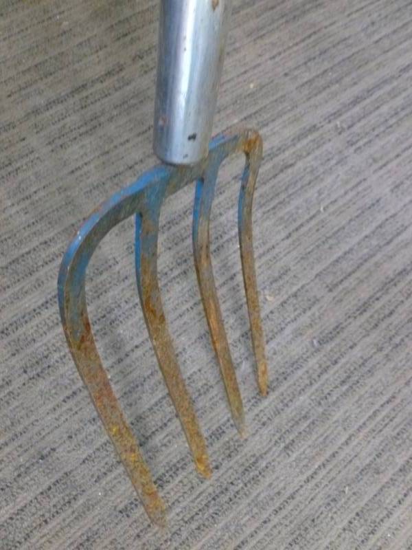 lot 21 image: Potato Fork