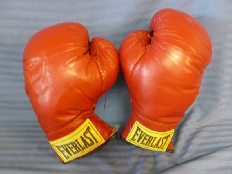 lot 251 image: Boxing Gloves