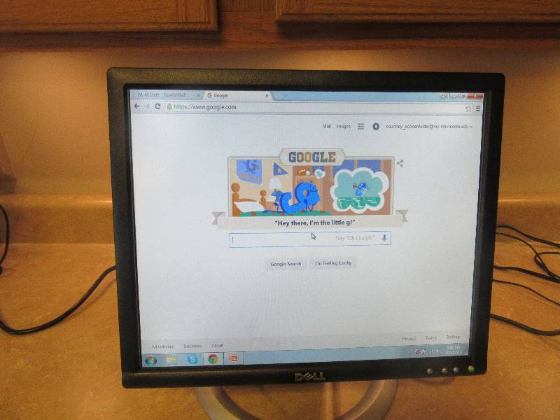 Dell 17 Flat Screen Monitor