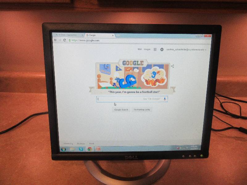 Dell 17 Flat Screen Monitor
