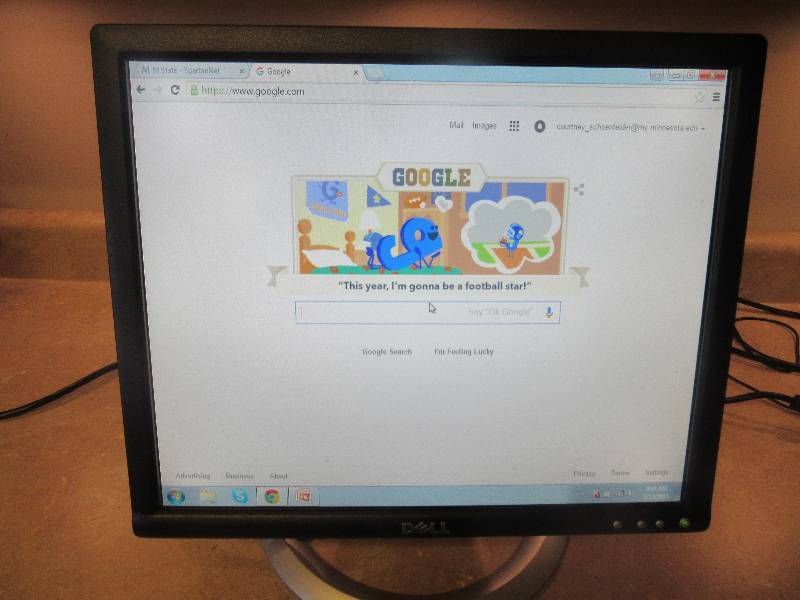 Dell 17 Flat Screen Monitor