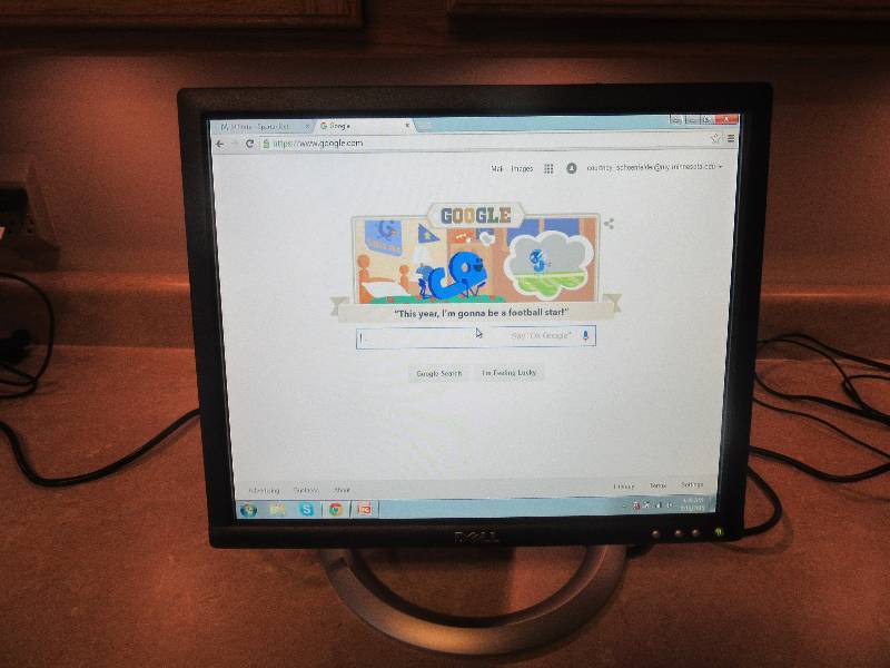 Dell 17 Flat Screen Monitor