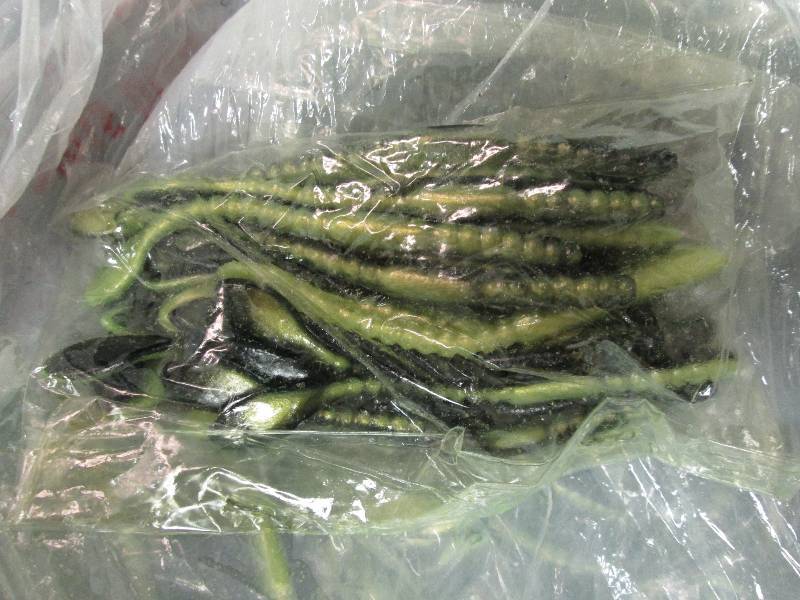 Tackle - huge lot of artificial nig...