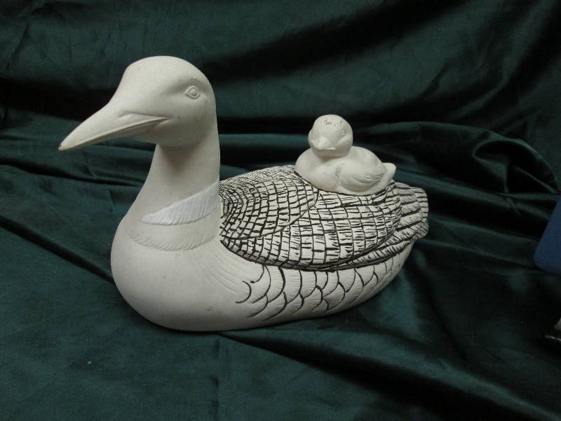Loon and baby loon...