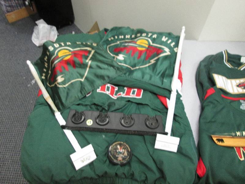 Minnesota mooses, Minnesota Wild, ...