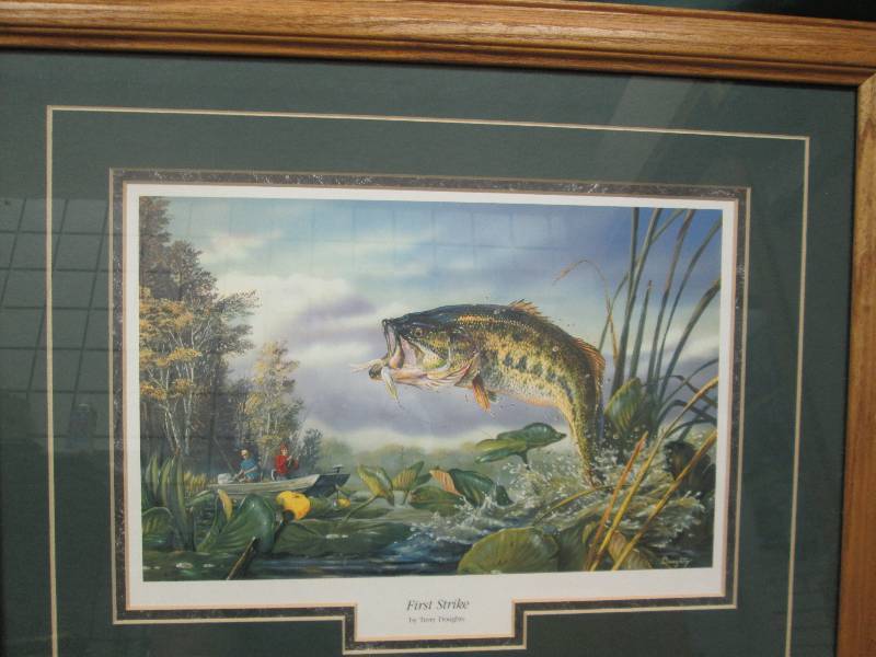 Picture e of a fish First strike by...
