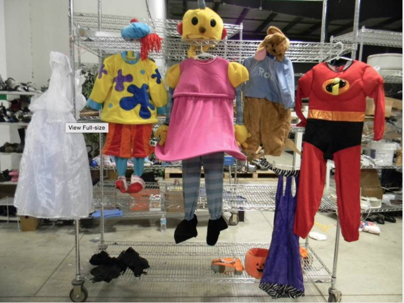 Halloween Costumes (gently used)