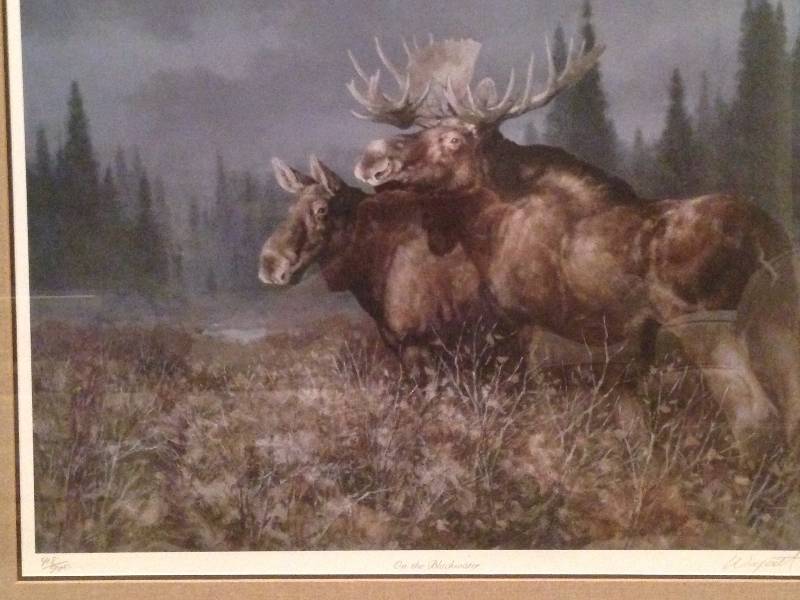 Framed Moose Painting (38X31)