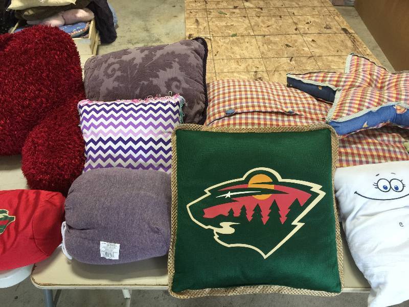 Assorted Throw Pillows