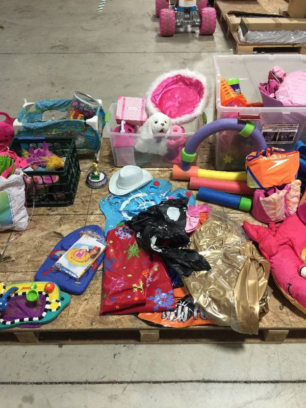 Assorted Girls Toys and Pool Toys