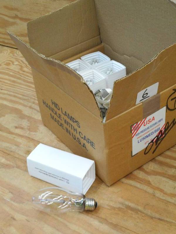 lot 6 image: (7) ProLume 0403 Light Bulbs ...