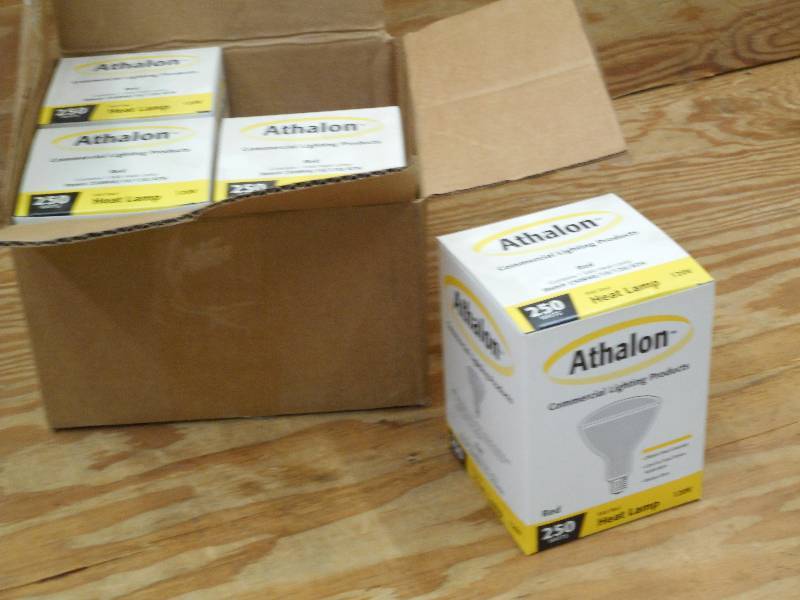 lot 14 image: (4) Athalon 250Watt 120Volt R40 Red...