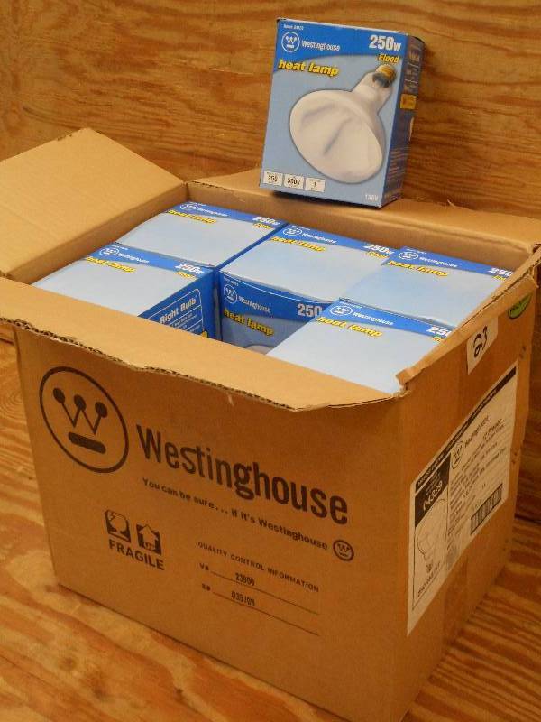 lot 23 image: (12) Westinghouse 250Watt 130Volt R...