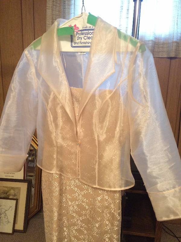 lot 364 image: Beautiful Vintage Evening Gown