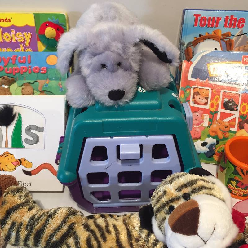 CHILDRENS BOOK AND MISC TOYS