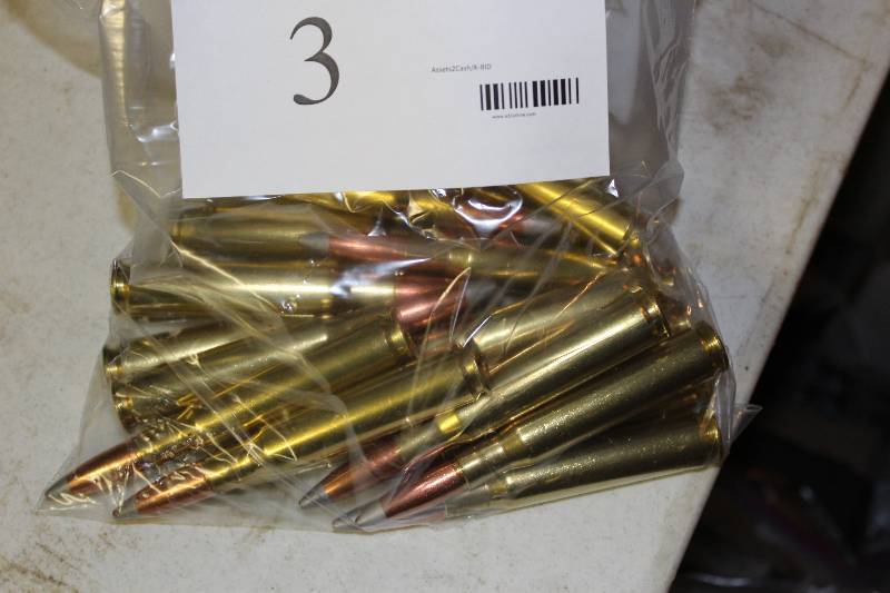 lot 3 image: Bag Lot of 50BMG Silver Tip Ammo app. 20 ct.