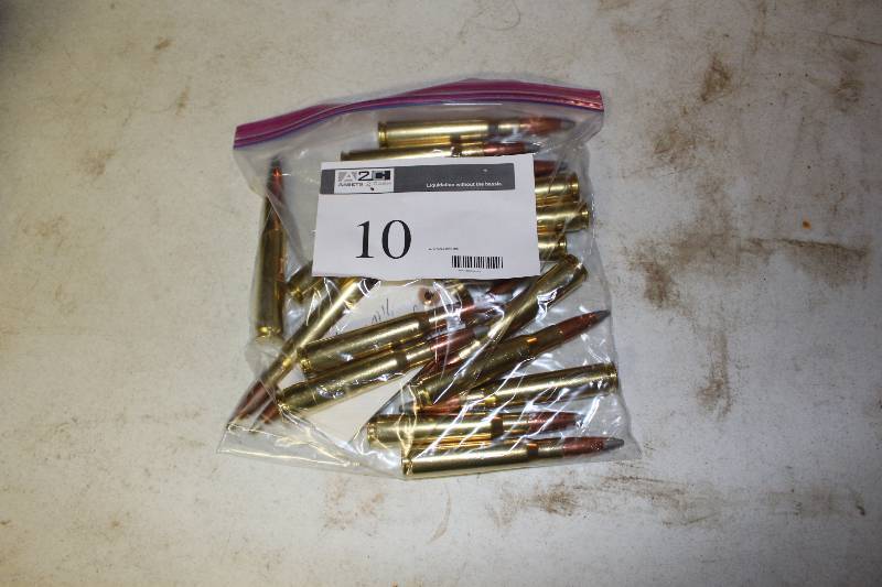 lot 10 image: Bag Lot of 50 BMG Silver Tip Ammo app. 20 ct.
