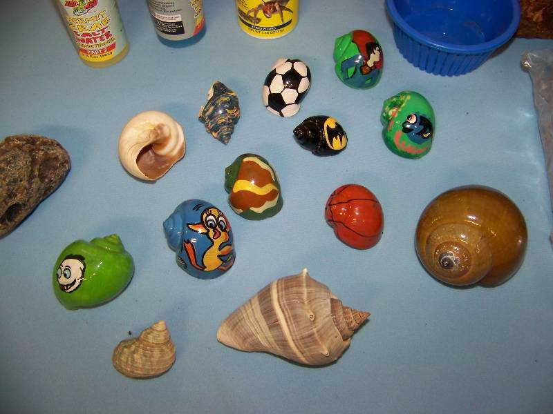 lot 30 image: Hermit Crab Shells and Cage Accessories