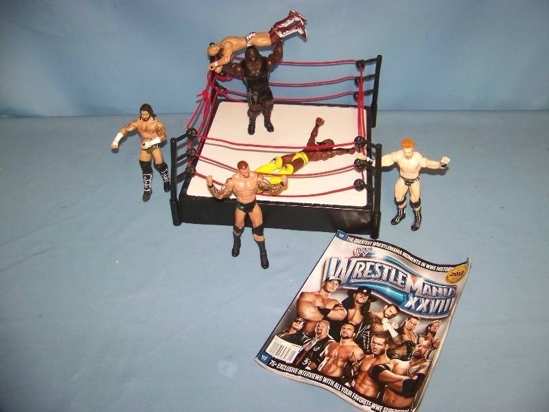 kids toy wrestling ring