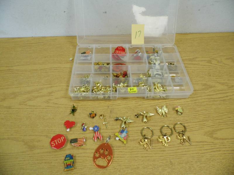 Organizer Case with Flashing Pins & Key Chains